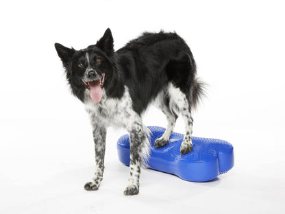 FitPAWS - Regular K9FITbone Dog Balance Training Platform