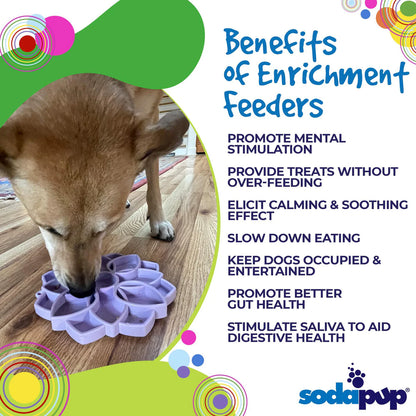 Mandala Softie Shallow Slow Feeder Dog Bowl with Suction Cups