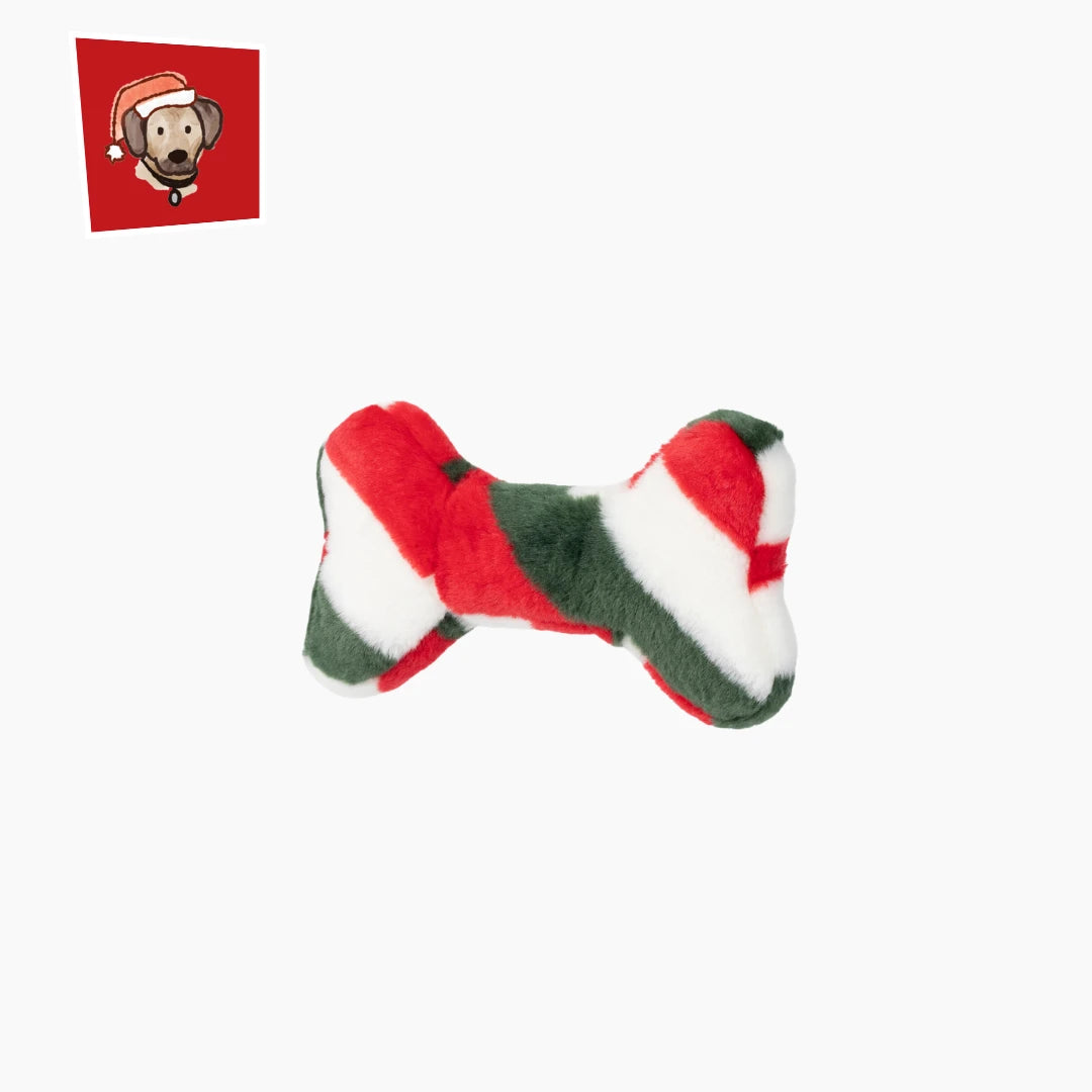 Fluff & Tuff *Mini Peppermint Bone