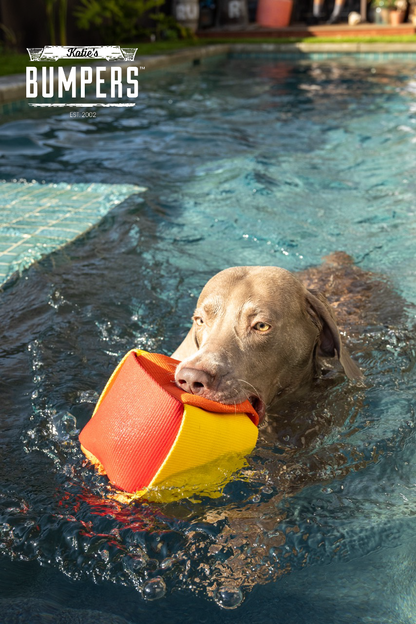 NEW!! KB Fire Balls - Performance Dog Supply