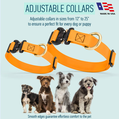 BioThane Dog Collar/Cobra Buckle