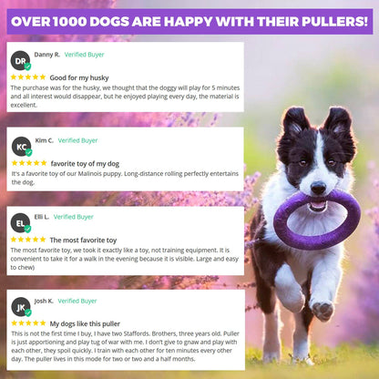 Puller - Agility Training Fetch Ring - Performance Dog Supply