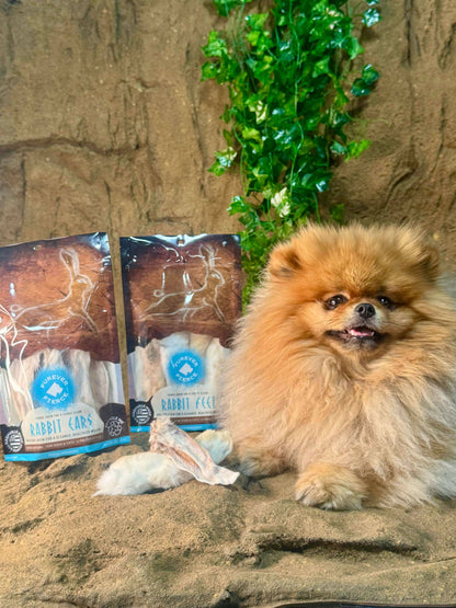 Rabbit Ears Bag of 5