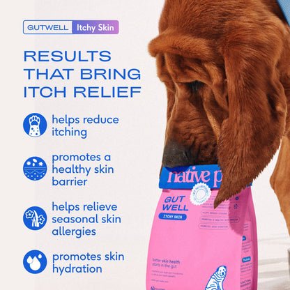Native Pet - Native Pet GutWell Itchy Skin, Anti Itch Supplement for Dogs