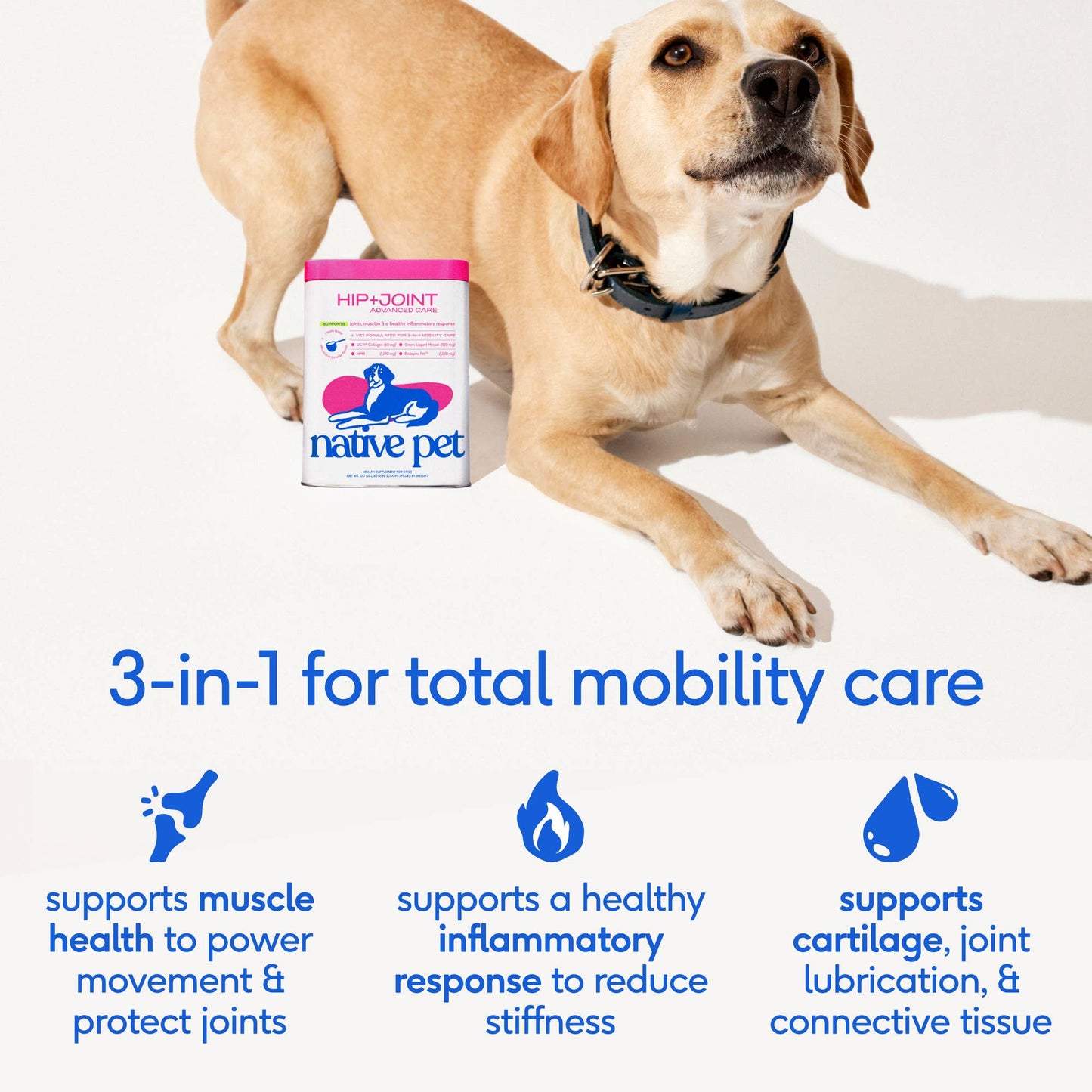 Native Pet - Hip+Joint Advanced Care Powder Joint, Muscle & Inflammation