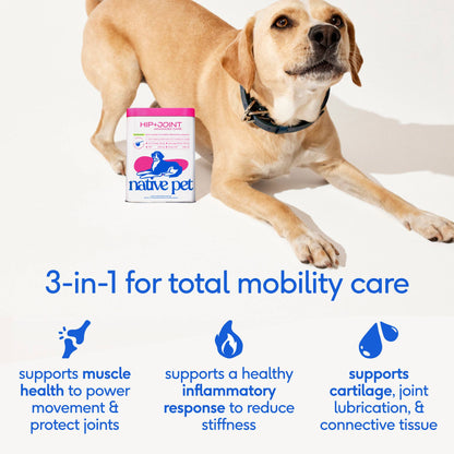 Native Pet - Hip+Joint Advanced Care Powder Joint, Muscle & Inflammation