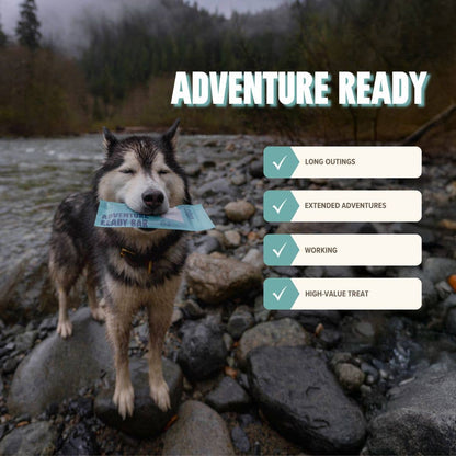 Seafood Treat & Snack Bar for Active Dogs -Energy & Recovery