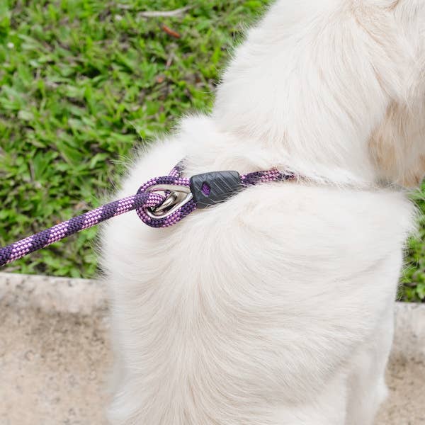 Ezydog Luca Slip Leash