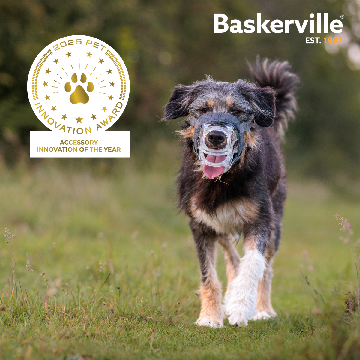 Baskerville Invisa