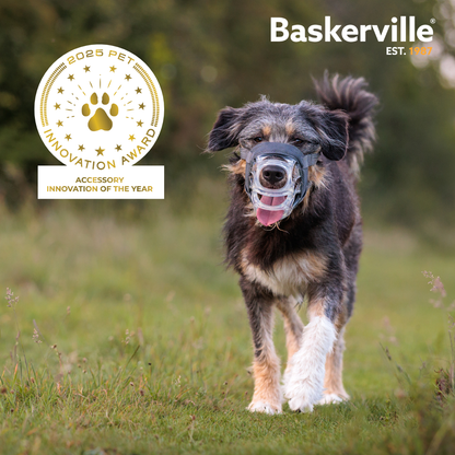 Baskerville Invisa