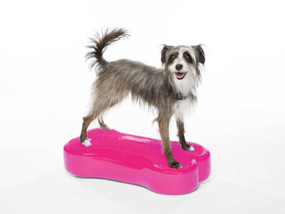 FitPAWS - Regular K9FITbone Dog Balance Training Platform