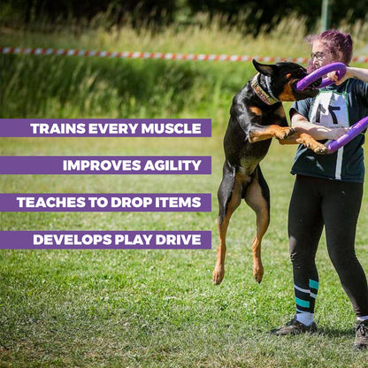 Puller - Agility Training Fetch Ring - Performance Dog Supply