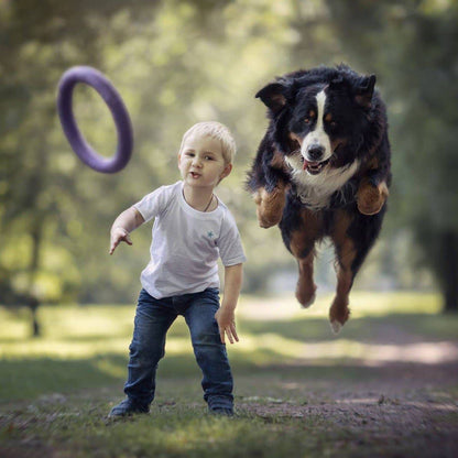 Puller - Agility Training Fetch Ring - Performance Dog Supply