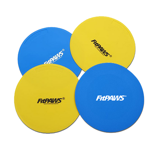FitPAWS - FitPAWS® Targets (Set of 4, Assorted colors)