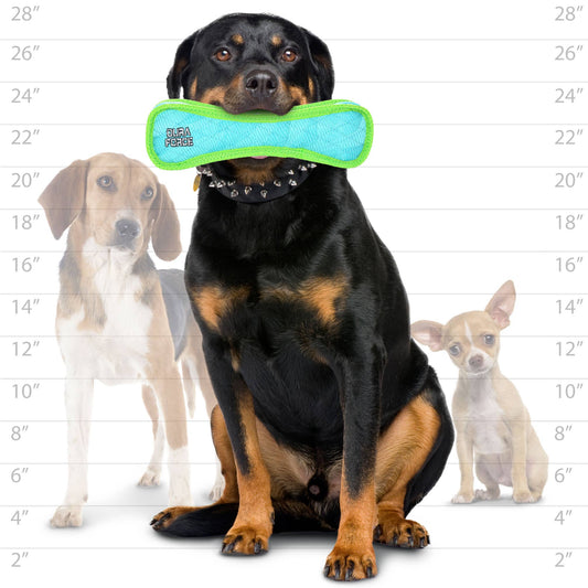 DuraForce Large Bone - Blue - Squeaky Dog Toy