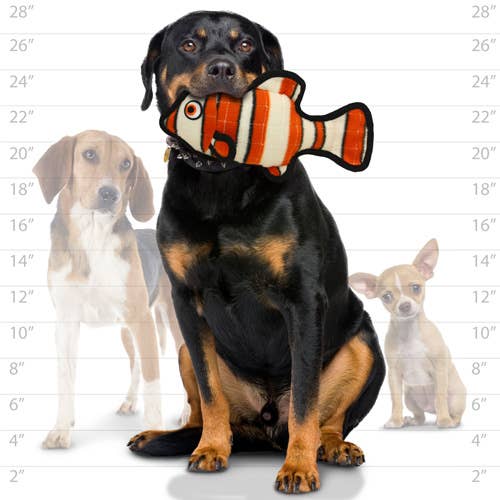 Tuffy Ocean Fish - Orange, Durable Squeaky Dog Toy