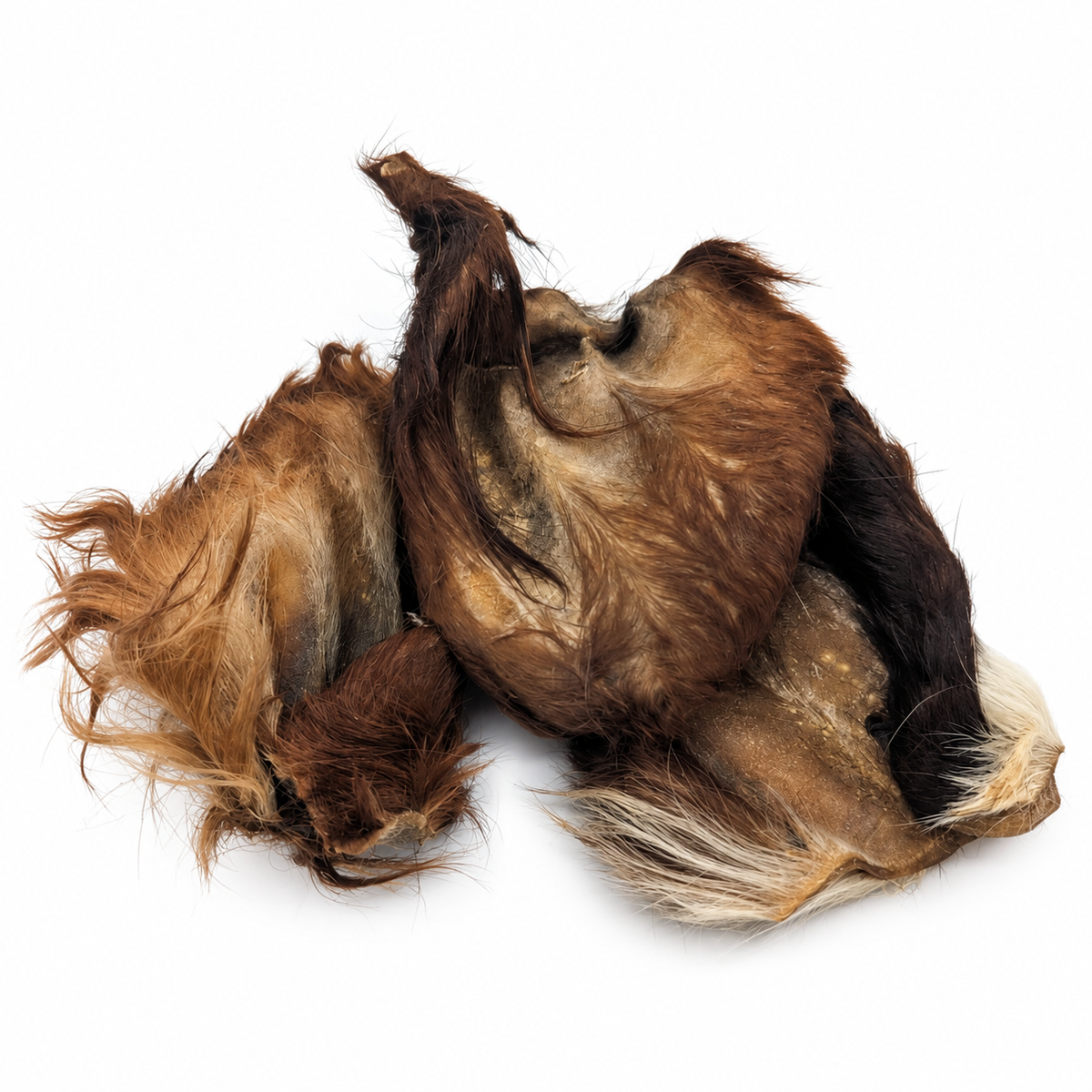 Bulk - Beef Ears with Hair – 10 Pack