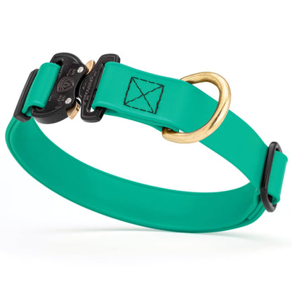 BioThane Dog Collar/Cobra Buckle