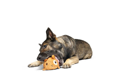 BARK Tinkles The Gerbil - Performance Dog Supply