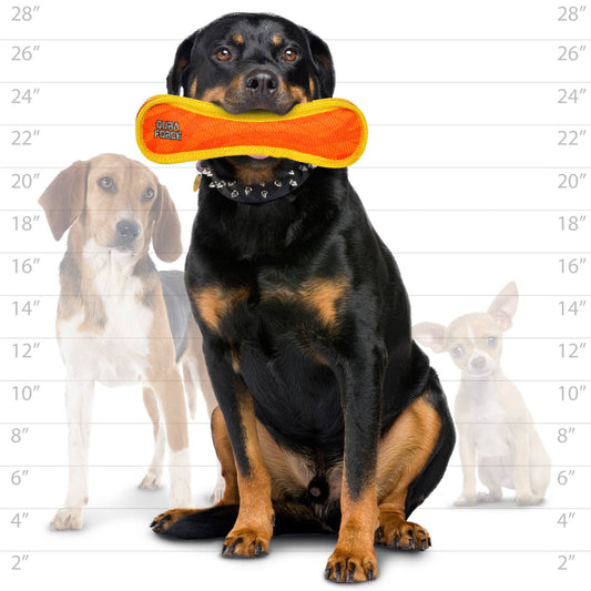 DuraForce Large Bone - Orange - Squeaky Dog Toy