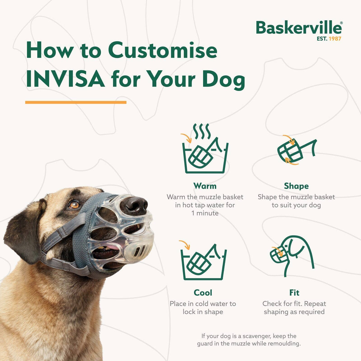 Baskerville Invisa