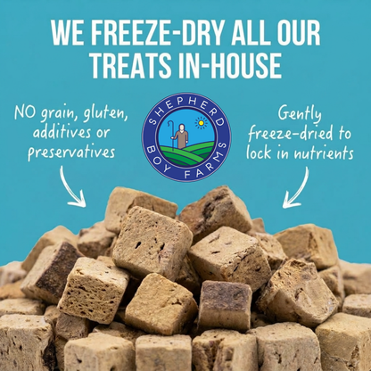 Freeze Dried Duck Heart