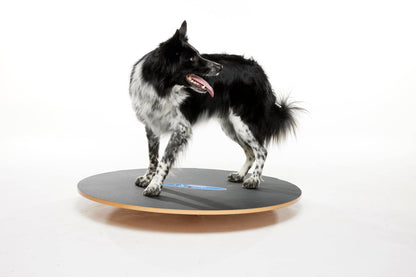 FitPAWS - FitPaws Wobble Board, Dog Balance Training Platform