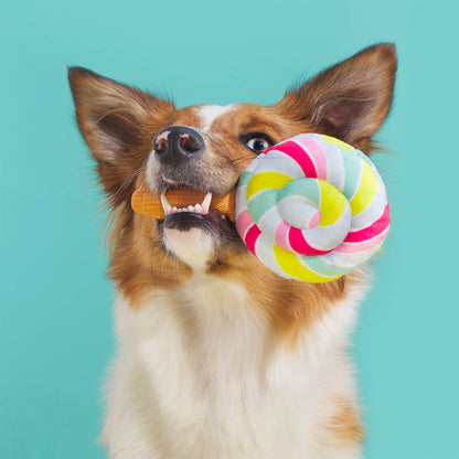 BARK Lollipop Plush Dog Toy - Performance Dog Supply