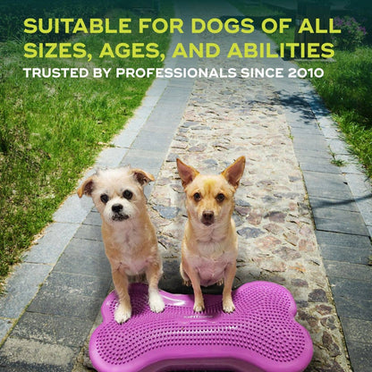 FitPAWS - Regular K9FITbone Dog Balance Training Platform