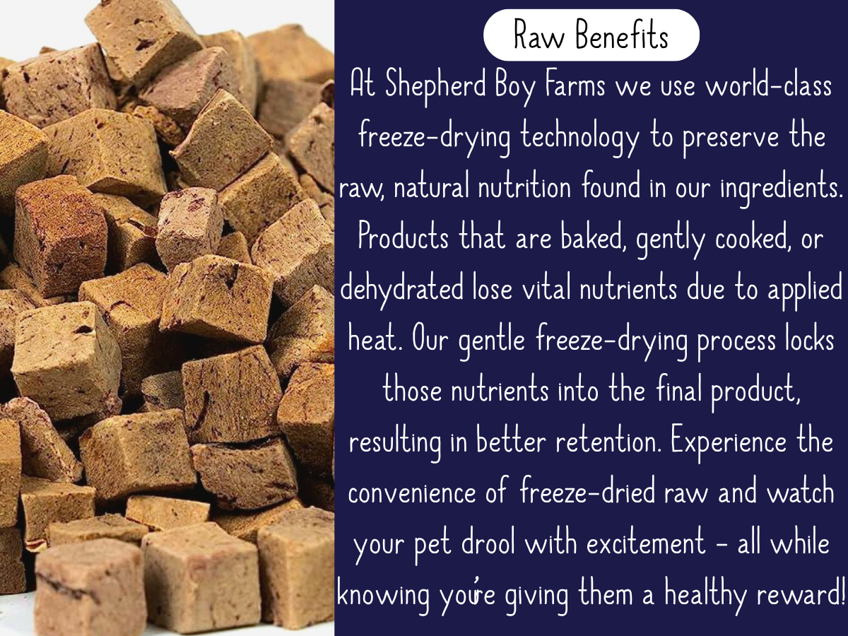 Freeze Dried Beef Liver Treats