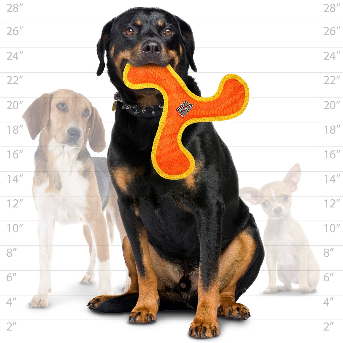 DuraForce Boomerang - Orange - Squeaky Dog Toy