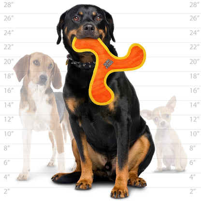 DuraForce Boomerang - Orange - Squeaky Dog Toy