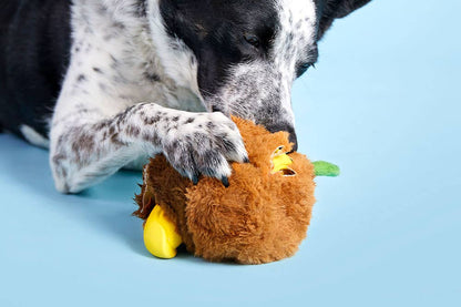 BARK Fowl Play - Performance Dog Supply