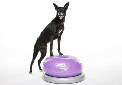 FitPAWS - FitPAWS® TRAX Donut, Purple