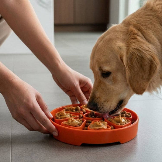 Citrus Softie eTray Shallow Slow Feeder Dog Bowl