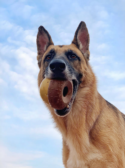 BARK Super Chewer Acornucopia Dog Toy Large - Performance Dog Supply