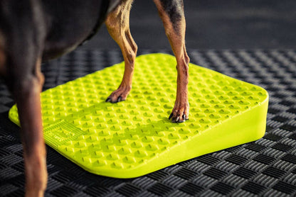 FitPAWS - FitPaws Balance Ramp