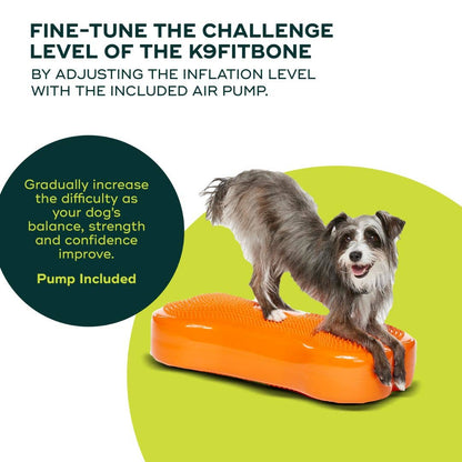 FitPAWS - Regular K9FITbone Dog Balance Training Platform