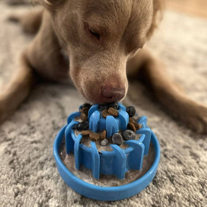 FreezLava - Performance Dog Supply