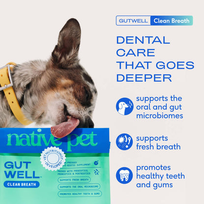 Native Pet - Native Pet GutWell Clean Breath, Dog Dental Care Supplement
