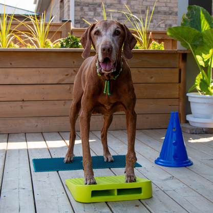 FitPAWS - FitPaws Balance Ramp