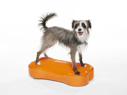 FitPAWS - Regular K9FITbone Dog Balance Training Platform