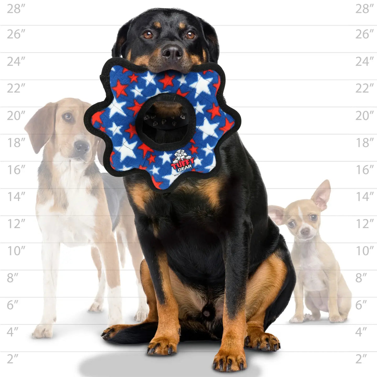 Tuffy Gear Ring -Stars, Durable Dog Toy