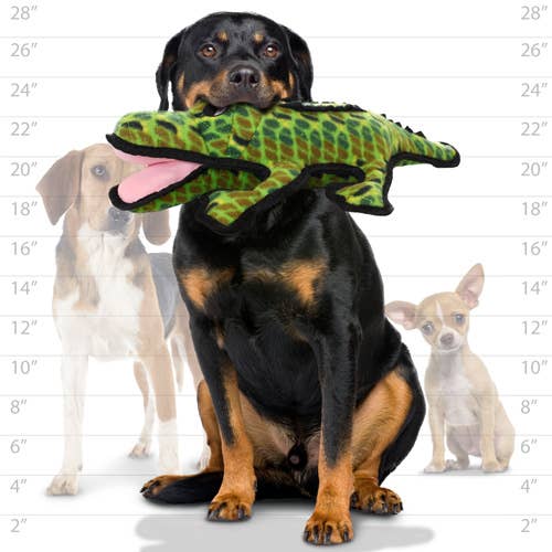 Tuffy Ocean  Alligator - LARGE - Squeaky Dog Toy
