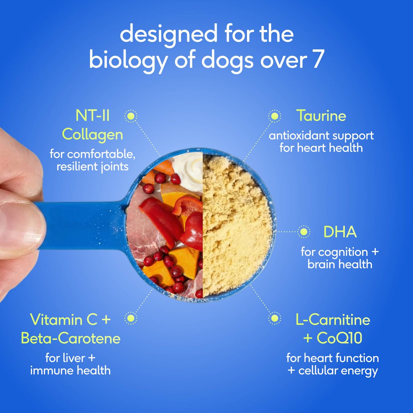 Native Pet - Senior Daily 12-in-1 Multivitamin Powder Supplement for Dogs
