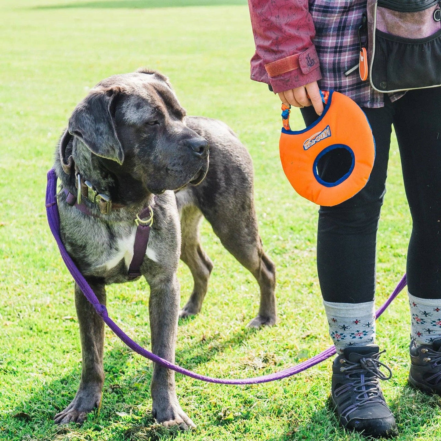 Tug-E-Nuff – Aero-Tug Interactive Frisbee: Lightweight, Water-Safe & Soft