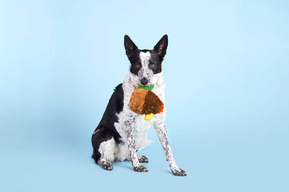 BARK Fowl Play - Performance Dog Supply