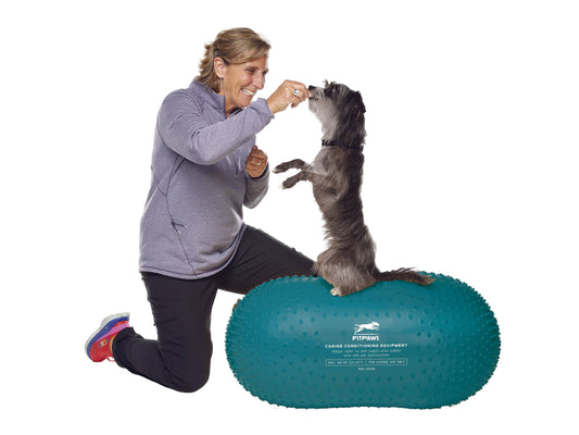 FitPAWS - FitPaws Trax Peanut
