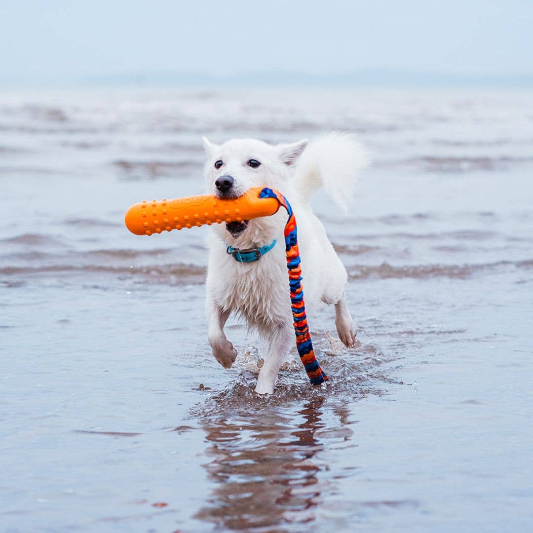 Tug-E-Nuff – Bob: The 3-In- 1 - Fetch, Tug, & Float