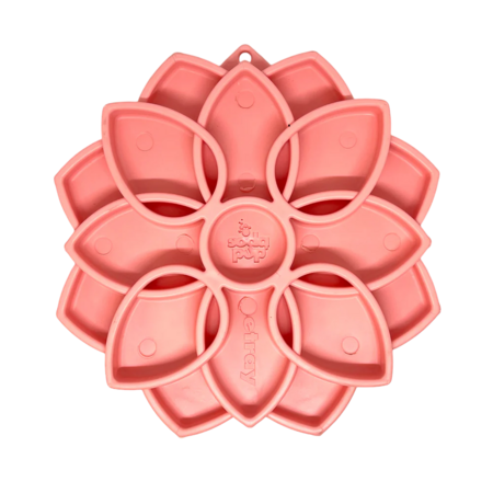 Mandala Softie Shallow Slow Feeder Dog Bowl with Suction Cups